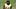 Pittsburgh Steelers cornerback Joey Porter Jr. observes training camp drills at Saint Vincent College Pittsburgh Steelers cornerback Joey Porter Jr. observes training camp drills at Saint Vincent College