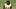 Pittsburgh Steelers cornerback Joey Porter Jr. (24) Pittsburgh Steelers cornerback Joey Porter Jr. (24)