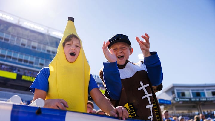 Sep 7, 2024; Lexington, Kentucky, USA; Kentucky Wildcats fans cheer during the first quarter against the South Carolina Gamecocks at Kroger Field. Mandatory Credit: Jordan Prather-Imagn Images