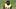 Pittsburgh Steelers cornerback Joey Porter Jr. Pittsburgh Steelers cornerback Joey Porter Jr.