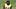 Pittsburgh Steelers cornerback Joey Porter Jr. (24) Pittsburgh Steelers cornerback Joey Porter Jr. (24)