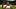 Fantasy Football, Jonah Coleman, Denver Broncos Fantasy Football, Jonah Coleman, Denver Broncos