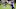 Tylan Wallace, Baltimore Ravens Tylan Wallace, Baltimore Ravens