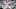 Houston Astros starting pitcher Cody Bolton