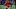 Tampa Bay Buccaneers defensive tackle Vita Vea. Tampa Bay Buccaneers defensive tackle Vita Vea.