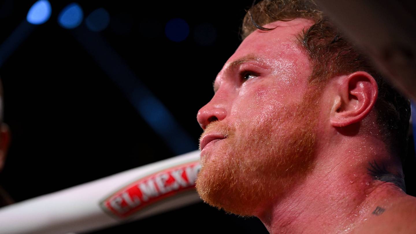 Canelo Alvarez vs William Scull Betting Odds And Fight Prediction