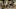 Murderbot_Photo_010510 Murderbot_Photo_010510