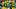 Sep 5, 2026; Eugene, Oregon, USA; Oregon Ducks wide receiver Dakorien Moore (1) warms up before a game against the Boise Stat