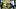 Sep 5, 2026; Eugene, Oregon, USA; Oregon Ducks running back Jordon Davison (0) momentarily loses control of the ball during t Sep 5, 2026; Eugene, Oregon, USA; Oregon Ducks running back Jordon Davison (0) momentarily loses control of the ball during t