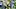Sep 5, 2026; Eugene, Oregon, USA; Oregon Ducks defensive back Carl Williams IV (15) tackles Boise State Broncos running back 