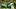Oregon Ducks Portland State Vikings College Football Big Ten Dan Lanning coach Dylan Raiola Dante Moore quarterbacks Oregon Ducks Portland State Vikings College Football Big Ten Dan Lanning coach Dylan Raiola Dante Moore quarterbacks