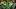 oregon ducks dan lanning usc trojans lincoln riley playoff implications injuries trent mosley storylines jayden maiava oregon ducks dan lanning usc trojans lincoln riley playoff implications injuries trent mosley storylines jayden maiava