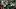 Oregon Ducks Nebraska Cornhuskers College Football Matayo Uiagalelei Teitum Tuioti linebackers 2026 season linebackers Oregon Ducks Nebraska Cornhuskers College Football Matayo Uiagalelei Teitum Tuioti linebackers 2026 season linebackers