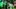 Oct 17, 2026; Eugene, Oregon, USA; Oregon Ducks quarterback Brock Thomas (12) warms up before a game against the Nebraska Cor