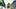 College Fantasy Football, Jamari Johnson, Oregon Ducks College Fantasy Football, Jamari Johnson, Oregon Ducks