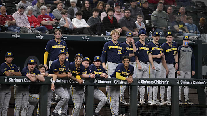 Feb 23, 2025; Arlington, TX, USA; The Michigan Wolverines play the Arkansas Razorbacks during the Amegy Bank College Baseball Series presented by Kubota Weekend 2 at Globe Life Field. Mandatory Credit: Jerome Miron-Imagn Images