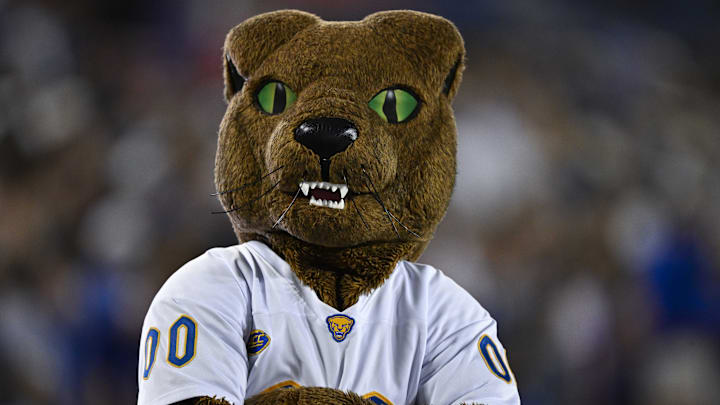 Nov 2, 2024; Dallas, Texas, USA; A view of the Pittsburgh Panthers mascot during the game between the Southern Methodist Mustangs and the Pittsburgh Panthers at Gerald J. Ford Stadium. Mandatory Credit: Jerome Miron-Imagn Images