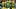 oregon ducks dan lanning injury jalen lott nasir wyatt iverson hooks evan stewart dakorien moore jeremiah mcclellan receivers oregon ducks dan lanning injury jalen lott nasir wyatt iverson hooks evan stewart dakorien moore jeremiah mcclellan receivers