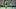 Oregon Ducks Dante Moore Jeremiah McClellan Boise State Dan Lanning 2026 season opener postgame quotes Oregon Ducks Dante Moore Jeremiah McClellan Boise State Dan Lanning 2026 season opener postgame quotes
