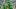 oregon ducks running back jordon davison matthew bedford oklahoma state cowboys autzen stadium big ten college football oregon ducks running back jordon davison matthew bedford oklahoma state cowboys autzen stadium big ten college football