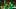 oregon ducks quarterback dante moore wide receiver evan stewart portland state vikings autzen stadium big ten college footbal oregon ducks quarterback dante moore wide receiver evan stewart portland state vikings autzen stadium big ten college footbal