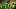 oregon ducks quarterback dante moore dan lanning michael hawkins pff notre dame cj carr trinidad chambliss grading big ten