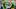 Oregon Ducks receiver Dakorien Moore dante moore injury news dan lanning drew mehringer jay johnson play-caller  