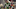 FC Bayern München v Celtic FC - UEFA Champions League 2024/25 League Knockout Play-off Second Leg FC Bayern München v Celtic FC - UEFA Champions League 2024/25 League Knockout Play-off Second Leg