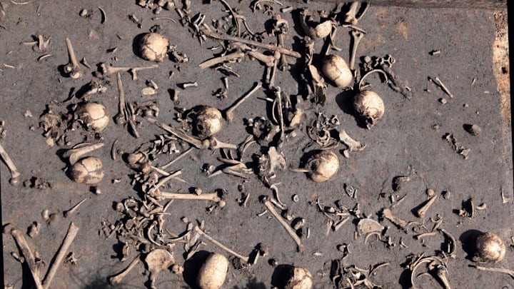 The Tollense Valley battle site contains hundreds of victims.