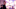 PH_Unit_03920_R PH_Unit_03920_R