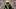 Nov 23, 2025; Green Bay, Wisconsin, USA;  Green Bay Packers defensive end Micah Parsons (1) celebrates following a sack durin