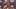 Rueben Bain Jr., EDGE, Tampa Bay Buccaneers Rueben Bain Jr., EDGE, Tampa Bay Buccaneers