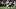 Arizona Cardinals WR Jalen Brook Arizona Cardinals WR Jalen Brook