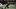 Fantasy Football, Juwan Johnson, New Orleans Saints Fantasy Football, Juwan Johnson, New Orleans Saints