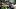 Fantasy Football, Jaxon Smith-Njigba, Seattle Seahawks