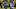 Green Bay Packers wide receiver J. Michael Sturdivant, Fantasy Football 
