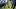 A general view of helmets at the line of scrimmage as Dallas Cowboys center Cooper Beebe snaps the ball at training camp A general view of helmets at the line of scrimmage as Dallas Cowboys center Cooper Beebe snaps the ball at training camp
