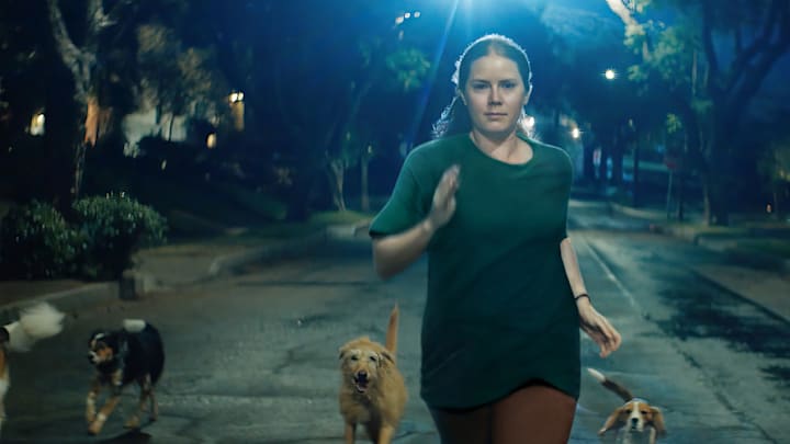 Amy Adams in NIGHTBITCH. Photo Courtesy of Searchlight Pictures. © 2024 Searchlight Pictures All Rights Reserved.