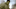 AVENGERS_ABF0460_L-900x0