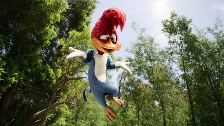 Woody Woodpecker Goes To Camp