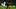 Bernardo Silva, Ademola Lookman Bernardo Silva, Ademola Lookman