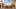 Save time to visit the Fort Worth Stockyards Save time to visit the Fort Worth Stockyards