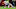 Miami Dolphins v Kansas City Chiefs Miami Dolphins v Kansas City Chiefs