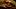 Photo of reptile eye in the wild Photo of reptile eye in the wild
