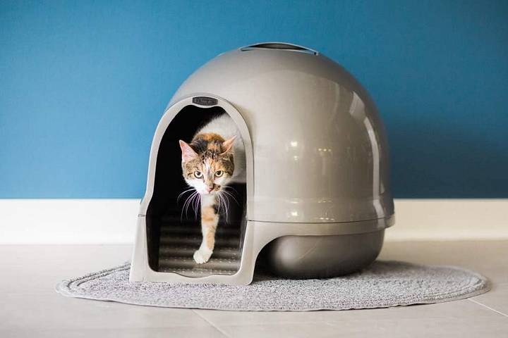 best looking cat litter box Thereye Open Top Self-Cleaning Cat Litter Box (ER-SC06) main image 1