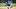 Milwaukee Brewers infielder Jesus Made Milwaukee Brewers infielder Jesus Made