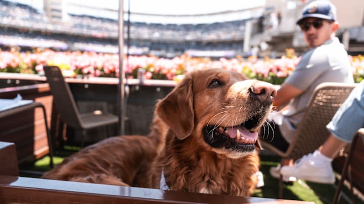 San Francisco Giants v San Diego Padres