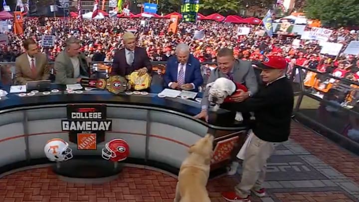 Georgia mascot Uga and ESPN analyst Kirk Herbstreit's dog Peter interact on the set of College Gameday in Athens, Ga., on November 16, 2024. 