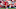 Liverpool v Arsenal - Premier League