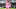 FBL-MLS-INTER MIAMI-ATLANTA UNITED FBL-MLS-INTER MIAMI-ATLANTA UNITED